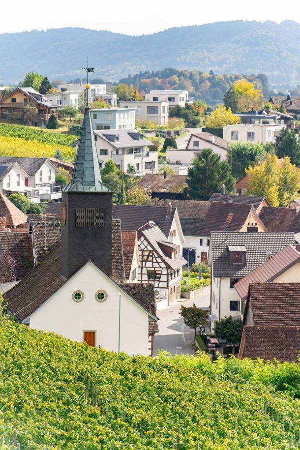 Neubauprojekt Naturblick Dörflingen: Übersicht über Dörflingen mit der markanten Kirche