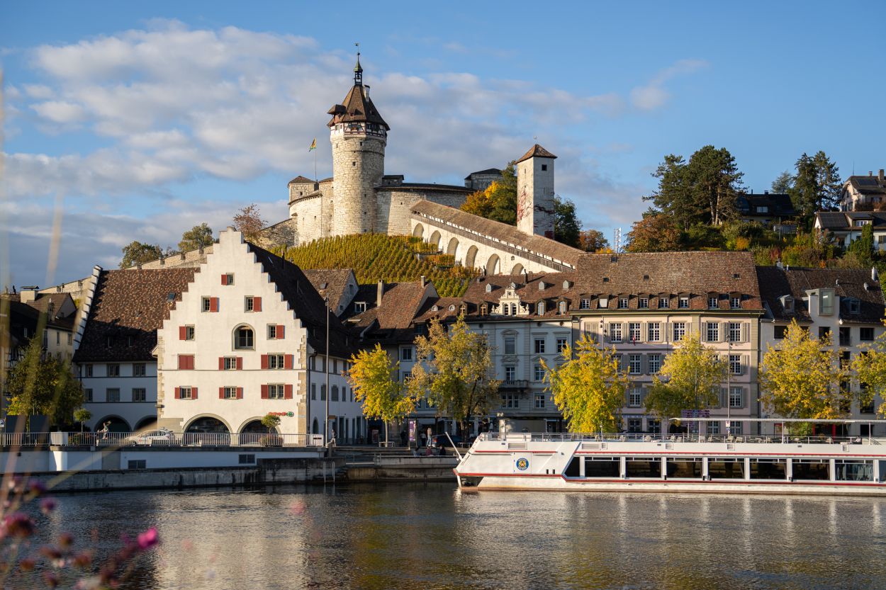 Neubauprojekt Naturblick Dörflingen: Bild der Stadt in der Nähe: Schaffhausen mit Munot und Fluss